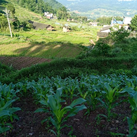 【遵義孫忠敏特色民宿(4號店)】地址:靈仙河村(靈仙河景區森林山莊)