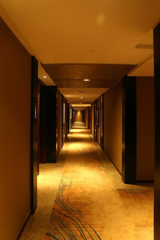 武汉山水s酒店图片
