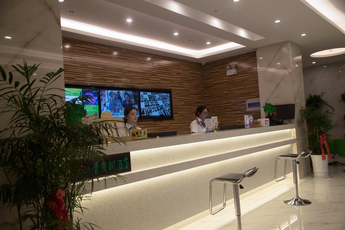 青皮树酒店(宣城国购广场店)