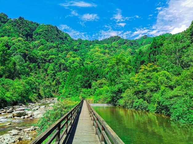 【梵淨山國際會議中心】地址:梵淨山風景區生態植物園(雲天峽谷) –