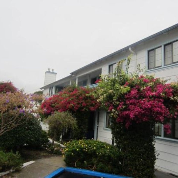 蒙特雷植樹節旅館