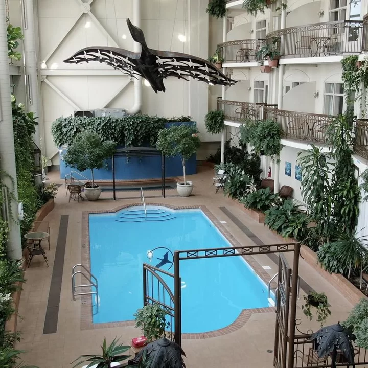 Hotel l'Oie des Neiges