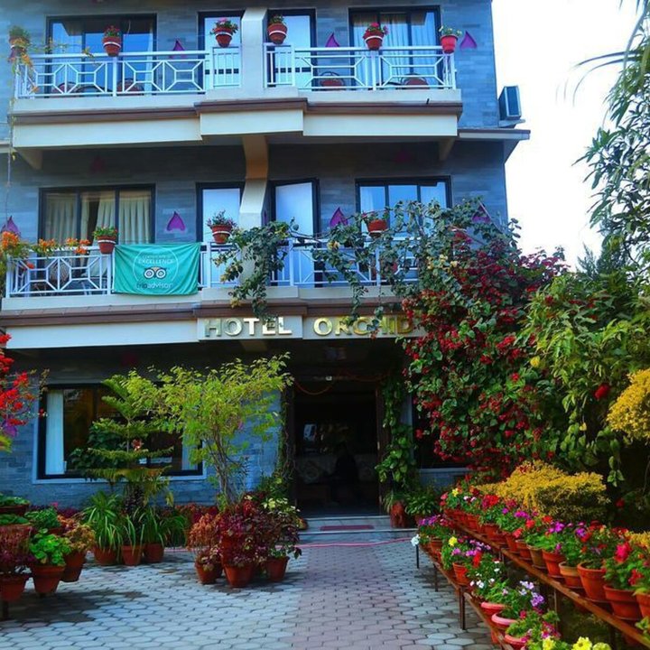 Hotel Orchid