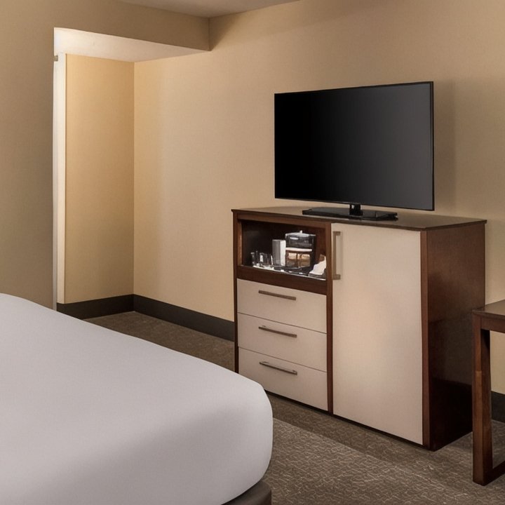 希爾頓逸林酒店芝加哥紹姆堡