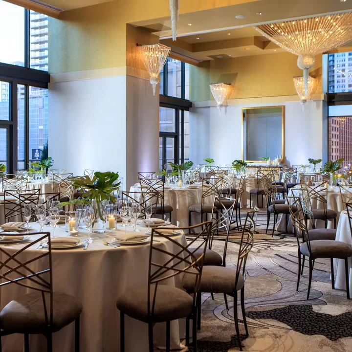 芝加哥河北皇家索內斯塔酒店