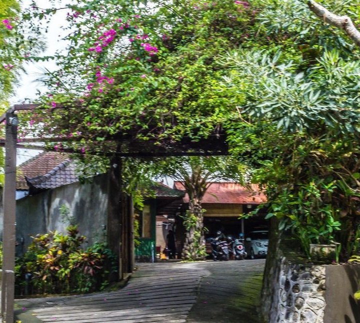 烏布戴維廣場酒店