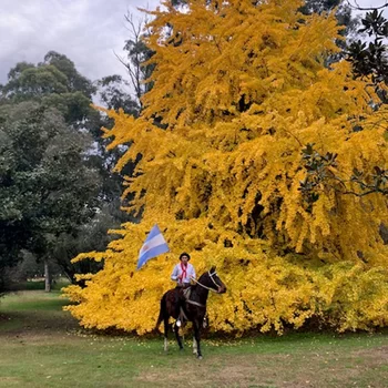 埃斯坦西亞瑪莉亞別墅酒店