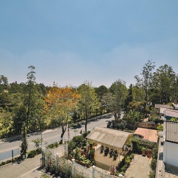 自然樂園 2 - 大叻宋映酒店