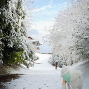 Airsky Hotel Incheon