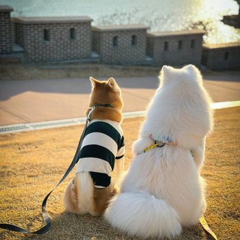 Airsky Hotel Incheon