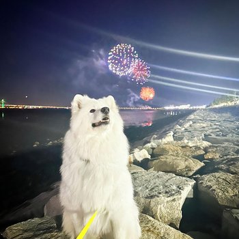 Airsky Hotel Incheon