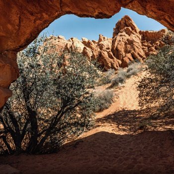 Sweet Retreat Rest & Relax Near National Parks