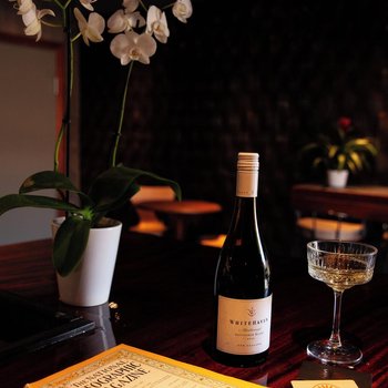 沃爾夫的摩押成人酒店