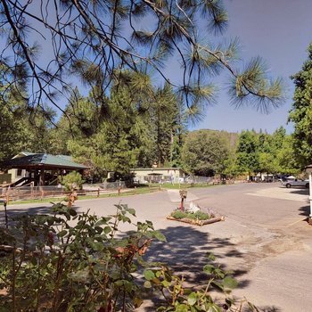Outdoorsy Yosemite