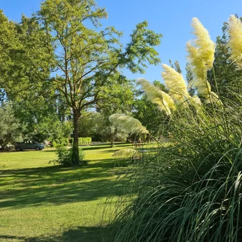 瑪斯塞里謝爾酒店