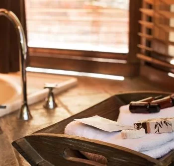 Linden Gardens Rainforest Retreat