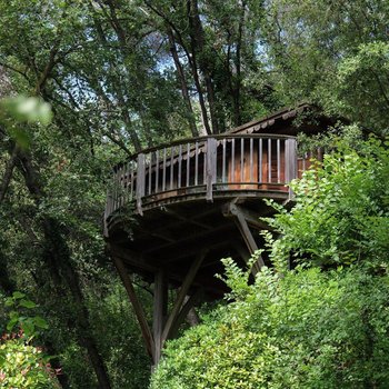 Orion Tree Houses
