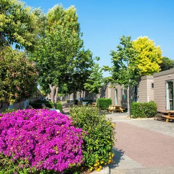 hu Roma Camping In Town