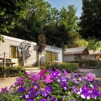 hu Roma Camping In Town