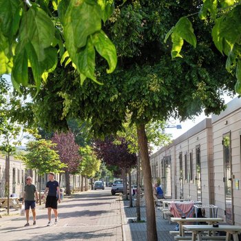 hu Roma Camping In Town