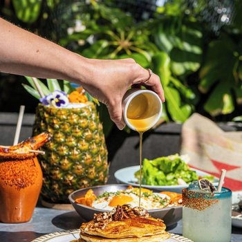 好萊塢Tribute Portfolio 酒店