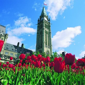 卡地亞廣場套房酒店