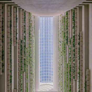 布里斯班洲際酒店