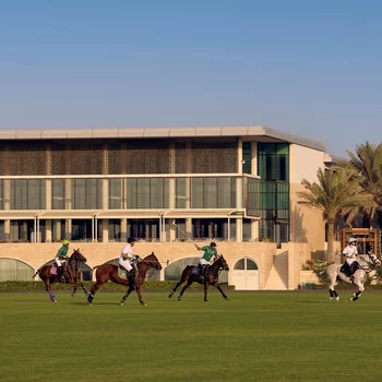 美利亞沙漠棕櫚-美利亞精選