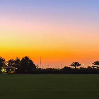 美利亞沙漠棕櫚-美利亞精選