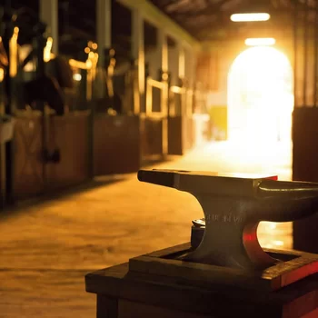 美利亞沙漠棕櫚-美利亞精選