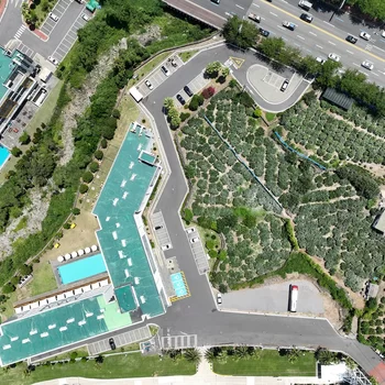 Shin Shin Hotel Jeju City