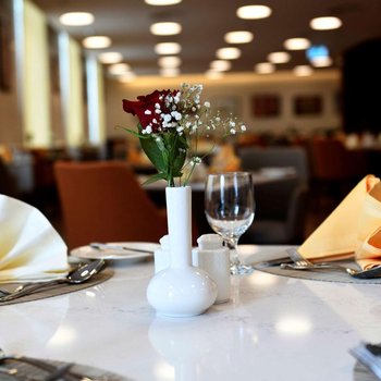 利雅得金色郁金香