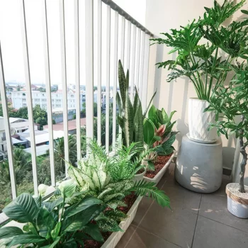 Masteri Thao Dien Apartments District 2