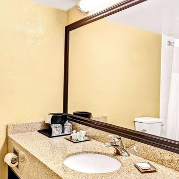 溫德姆花園酒店-羅穆勒斯底特律機場