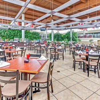 溫德姆花園酒店-羅穆勒斯底特律機場