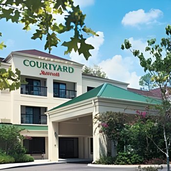 Courtyard Chicago Wood Dale / Itasca