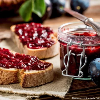 格瑞特馬賽普羅旺斯機場酒店