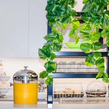 Ibis Budget Sydney East