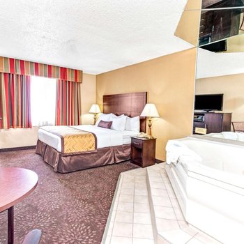 溫德姆花園酒店-羅穆勒斯底特律機場