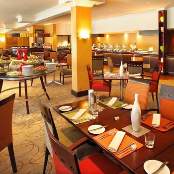 Southern Sun or Tambo International Airport