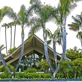 棕櫚島濱海貝斯特韋斯特優質度假酒店