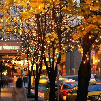 The Westin Seattle