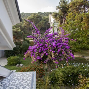 Triada Hotel Büyükada