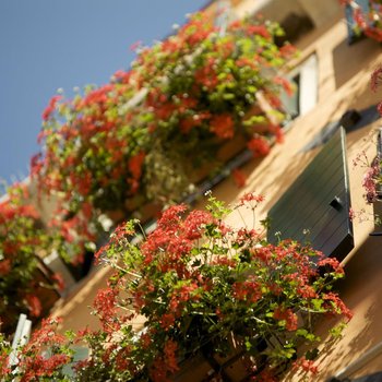 阿爾科德伽酒店