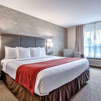 Comfort Inn & Suites South