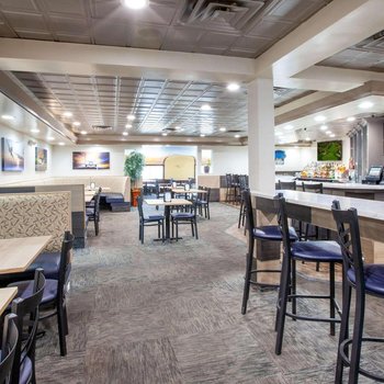 底特律都會機場蔚景溫德姆酒店