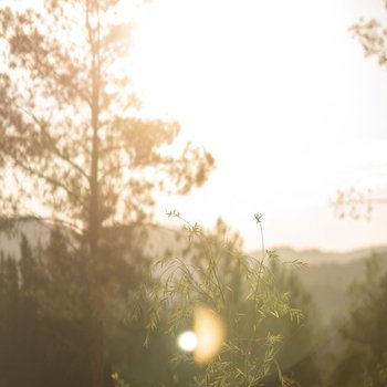 Izz Getaway - Adults Only