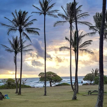 可愛島威奴亞灣希爾頓花園酒店