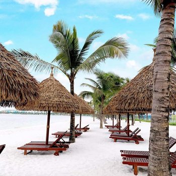 BOM Homes- Vinhomes Ocean Park - Serviced Apartment