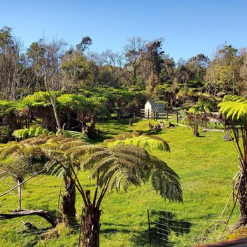 Volcano Acres Ranch B&B